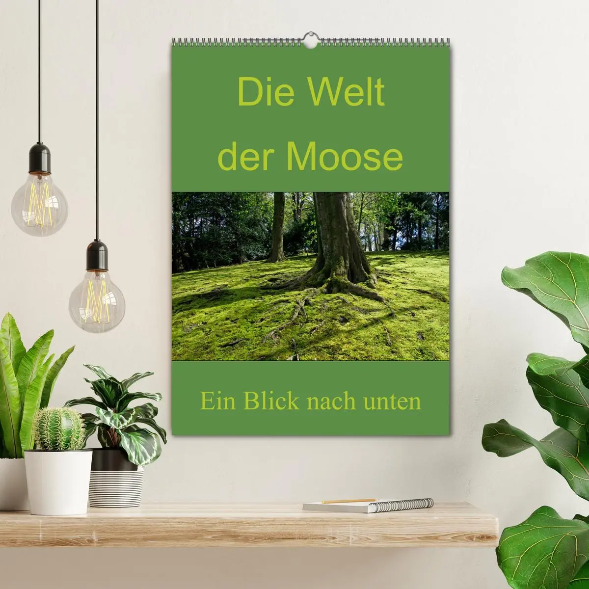 Bild: 9783516424355 | Die Welt der Moose. Ein Blick nach unten (Wandkalender 2026 DIN A2...