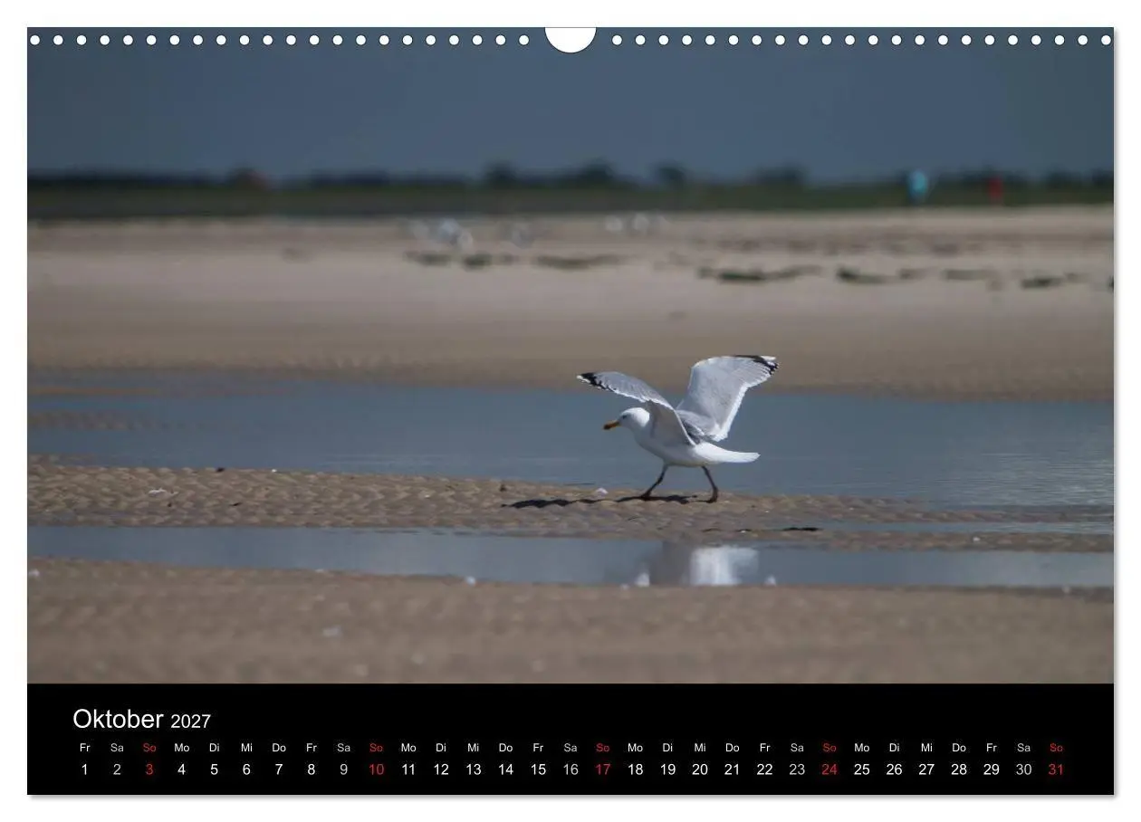 Bild: 9783594024355 | Amrumer Impressionen (Wandkalender 2027 DIN A3 quer), CALVENDO...