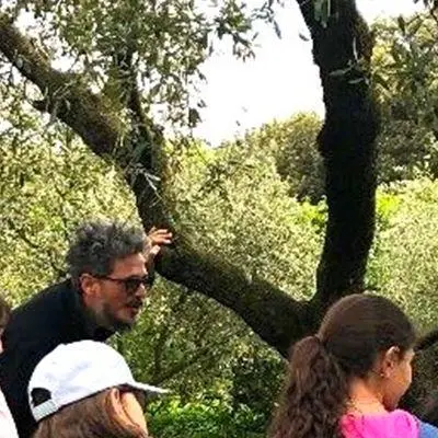 Autor: 9783347814455 | Piccola Enciclopedia dell' ulivo e del suo ambiente | Signoretto