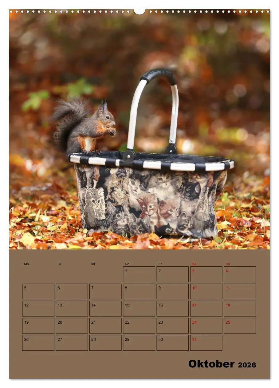 Bild: 9783516414455 | Eichhörnchen - Planer (Wandkalender 2026 DIN A2 hoch), CALVENDO...