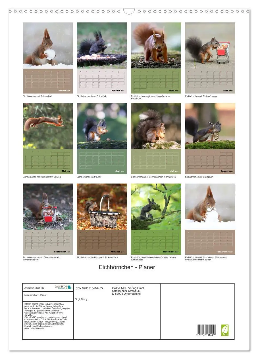 Bild: 9783516414455 | Eichhörnchen - Planer (Wandkalender 2026 DIN A2 hoch), CALVENDO...