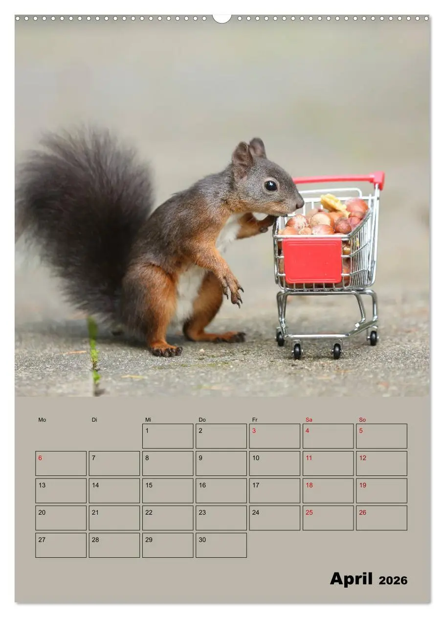 Bild: 9783516414455 | Eichhörnchen - Planer (Wandkalender 2026 DIN A2 hoch), CALVENDO...