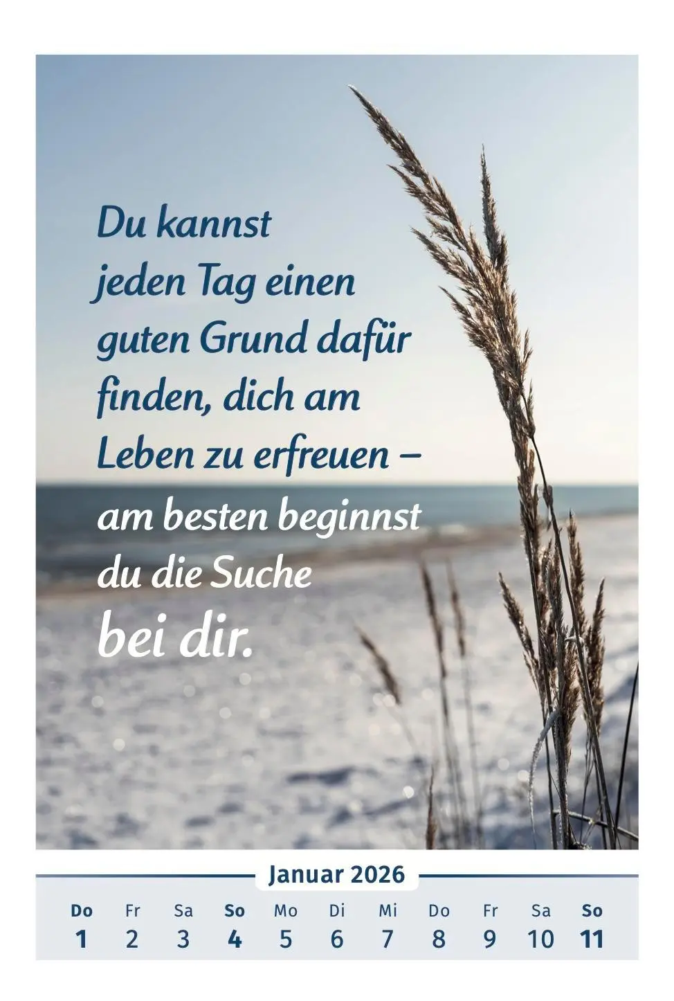 Bild: 9783910294455 | Der Lebensfreude-Kalender 2026 | Doris Wolf (u. a.) | Kalender | 40 S.