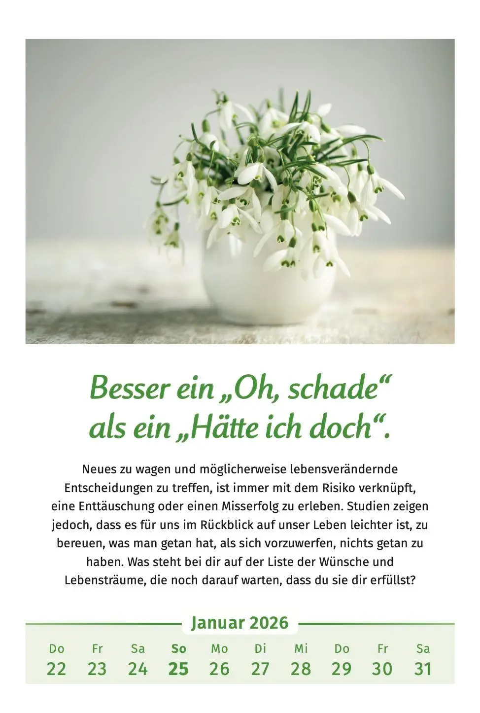 Bild: 9783910294455 | Der Lebensfreude-Kalender 2026 | Doris Wolf (u. a.) | Kalender | 40 S.