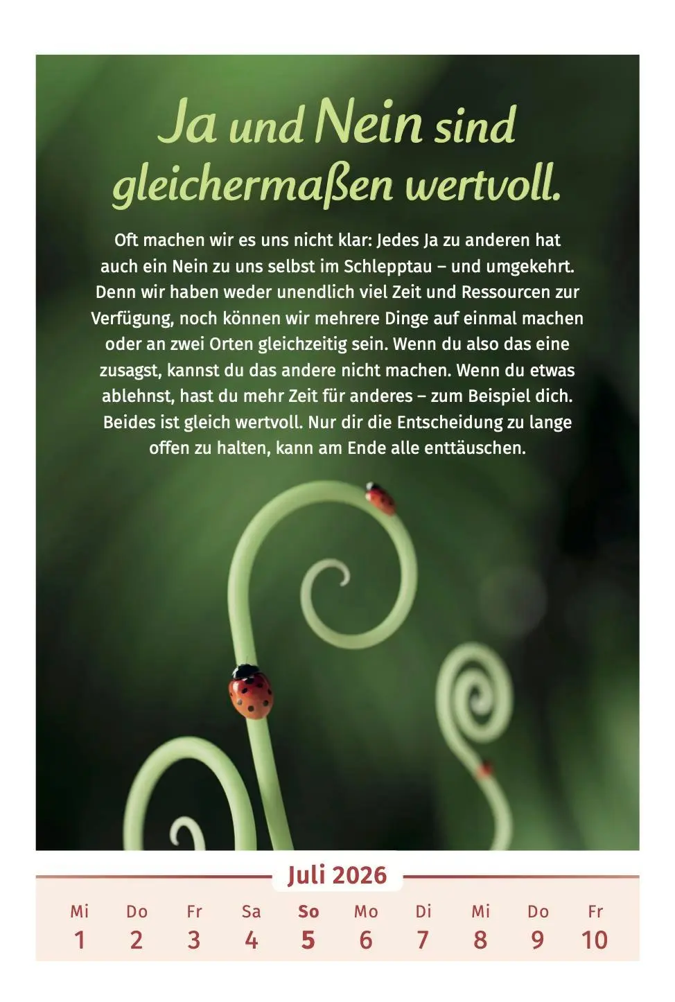 Bild: 9783910294455 | Der Lebensfreude-Kalender 2026 | Doris Wolf (u. a.) | Kalender | 40 S.