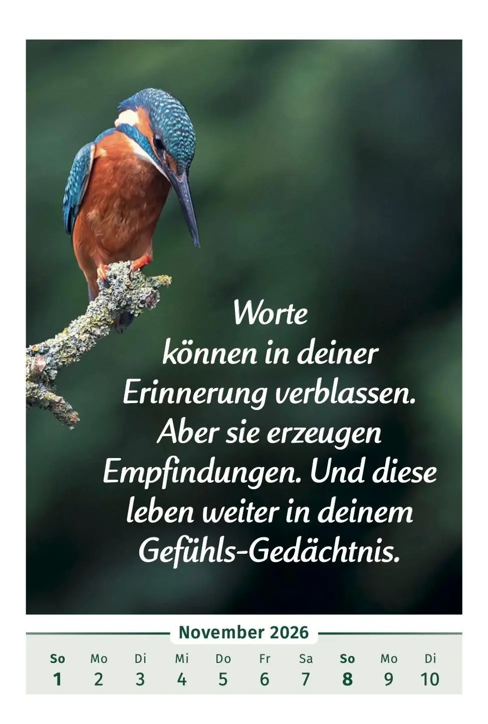 Bild: 9783910294455 | Der Lebensfreude-Kalender 2026 | Doris Wolf (u. a.) | Kalender | 40 S.