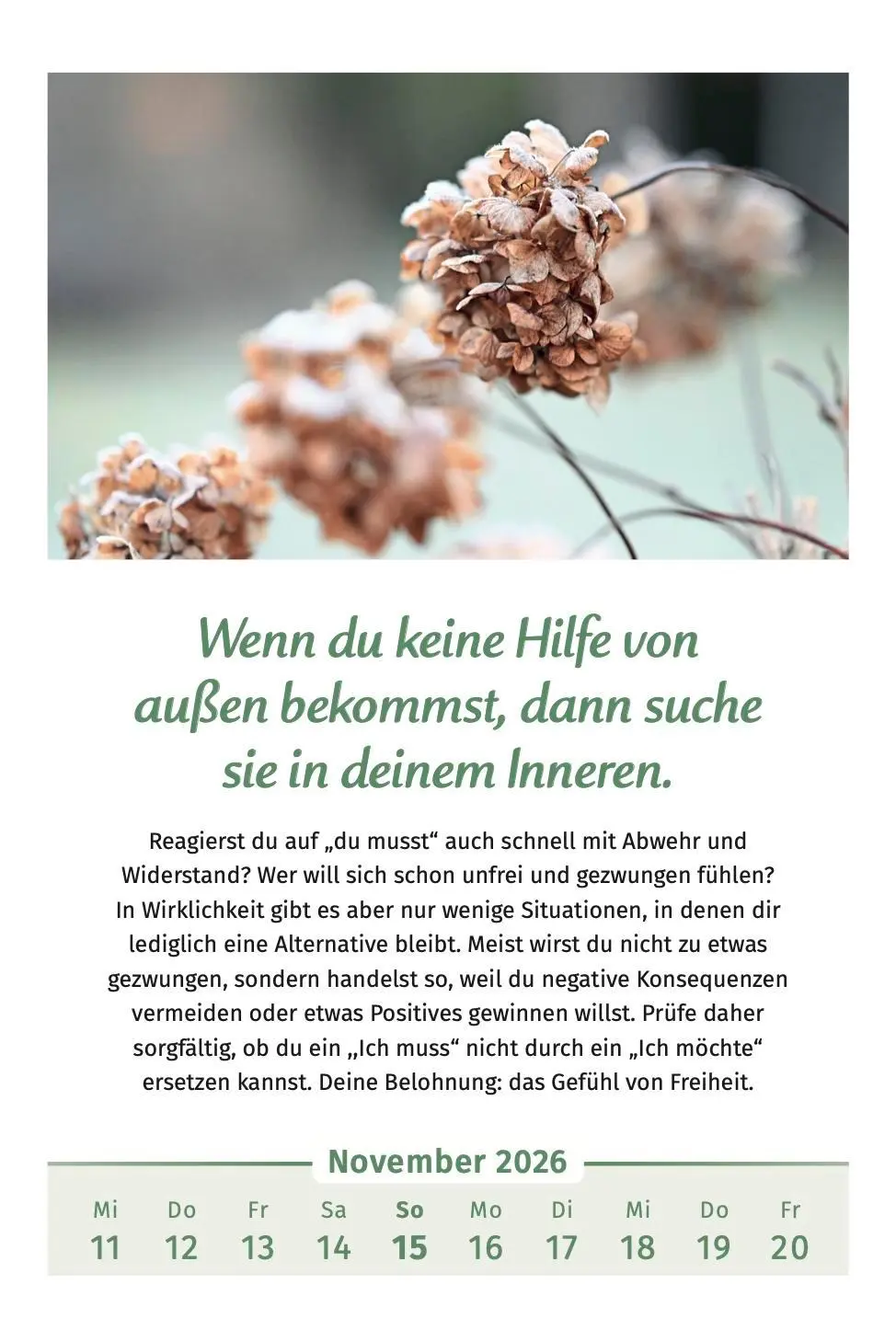 Bild: 9783910294455 | Der Lebensfreude-Kalender 2026 | Doris Wolf (u. a.) | Kalender | 40 S.