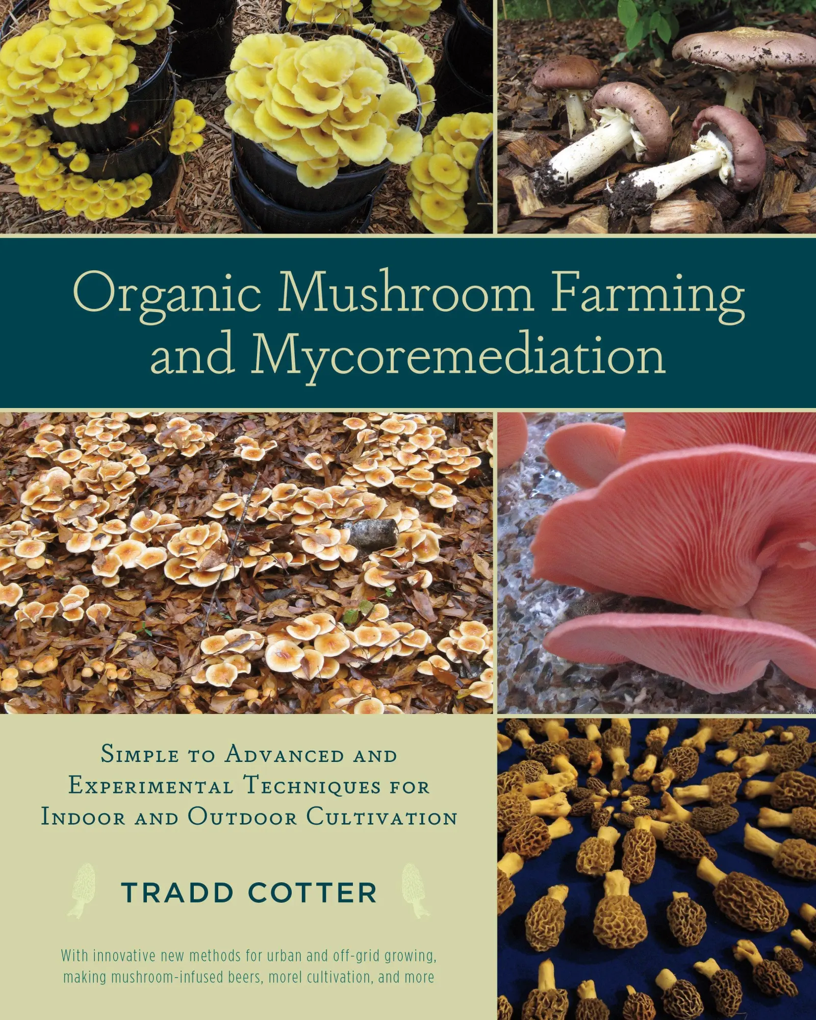 Cover: 9781603584555 | Organic Mushroom Farming and Mycoremediation | Tradd Cotter | Buch