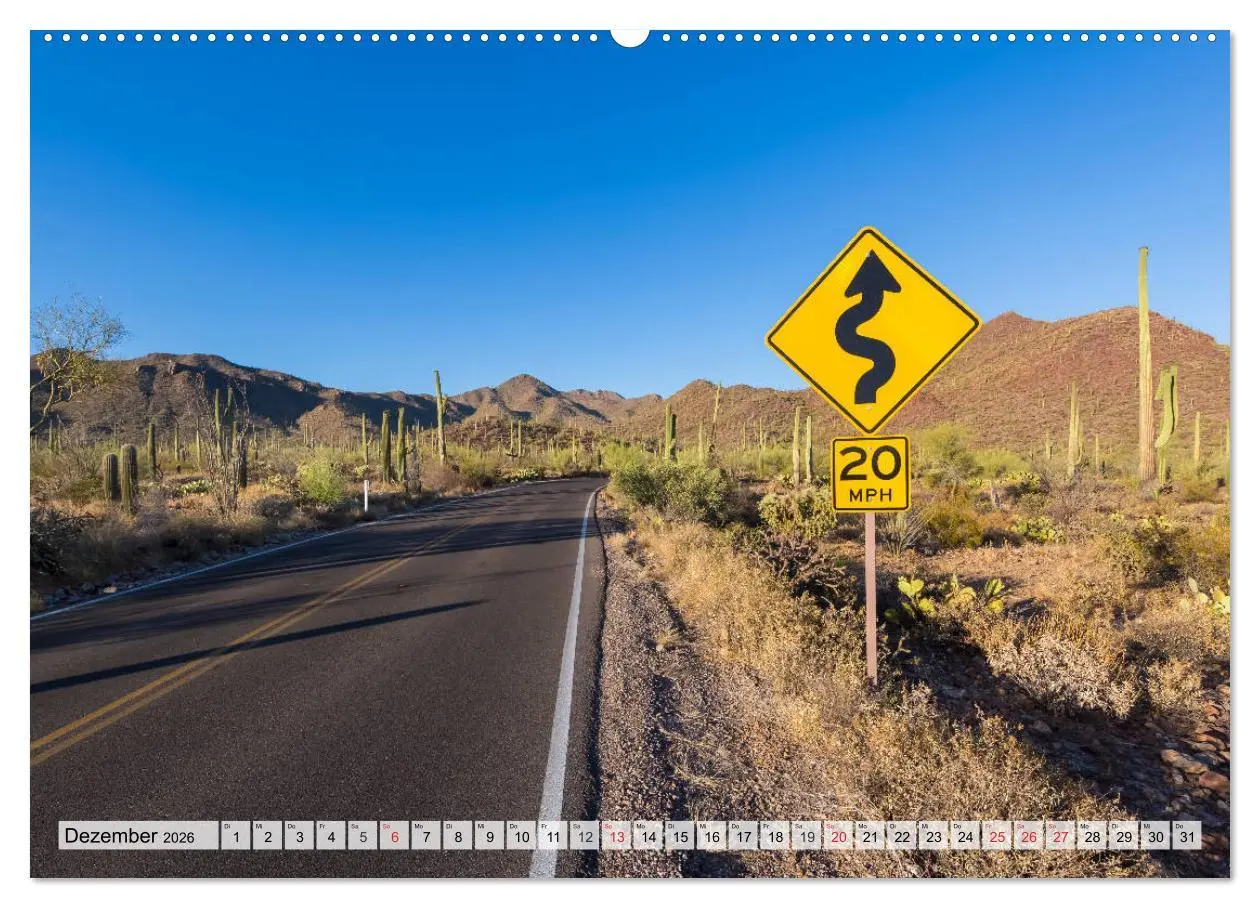 Bild: 9783457774755 | SAGUARO NATIONAL PARK Heimat des Saguaro-Kaktus (Wandkalender 2026...