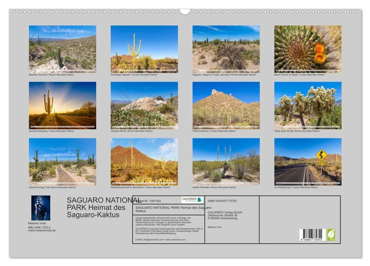 Bild: 9783457774755 | SAGUARO NATIONAL PARK Heimat des Saguaro-Kaktus (Wandkalender 2026...