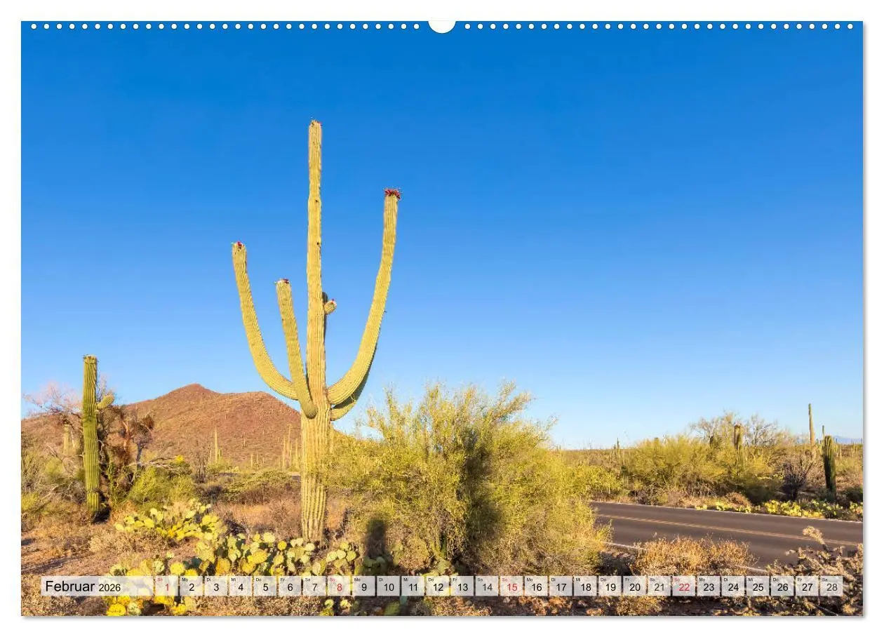 Bild: 9783457774755 | SAGUARO NATIONAL PARK Heimat des Saguaro-Kaktus (Wandkalender 2026...