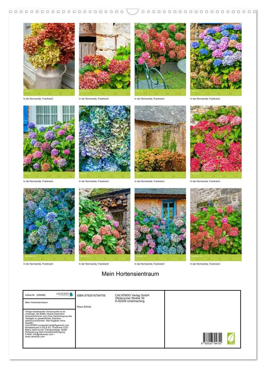 Bild: 9783516794755 | Mein Hortensientraum (Wandkalender 2027 DIN A2 hoch), CALVENDO...