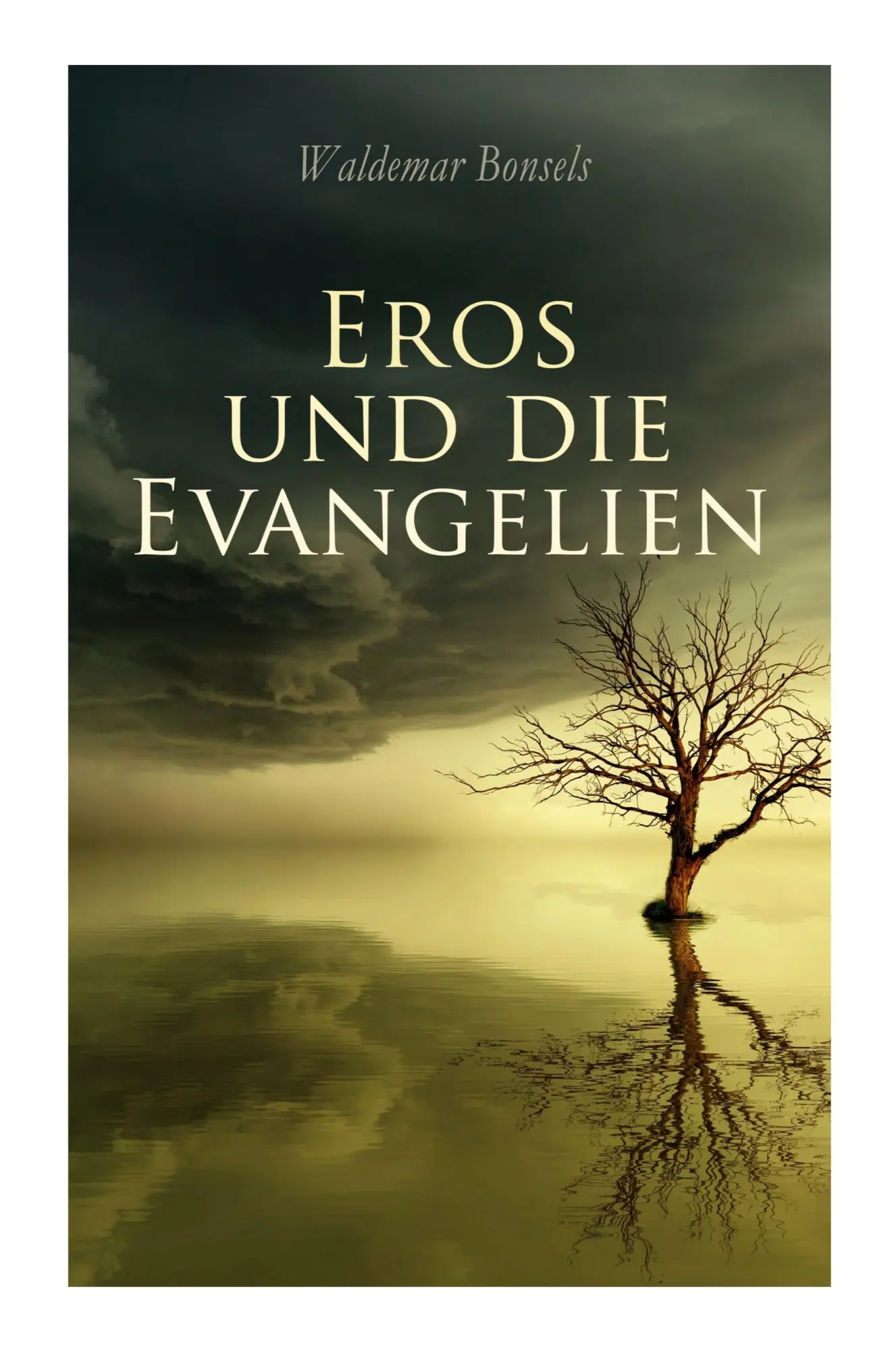 Cover: 9788027374755 | Eros und die Evangelien | Aus den Notizen eines Vagabunden | Bonsels
