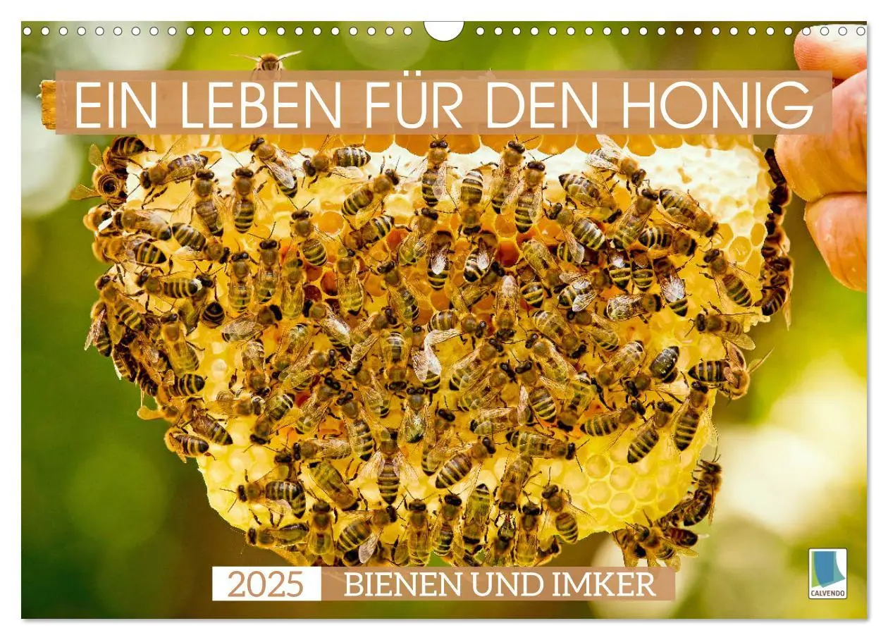 Cover: 9783435124855 | Ein Leben für den Honig - Bienen und Imker (Wandkalender 2025 DIN...