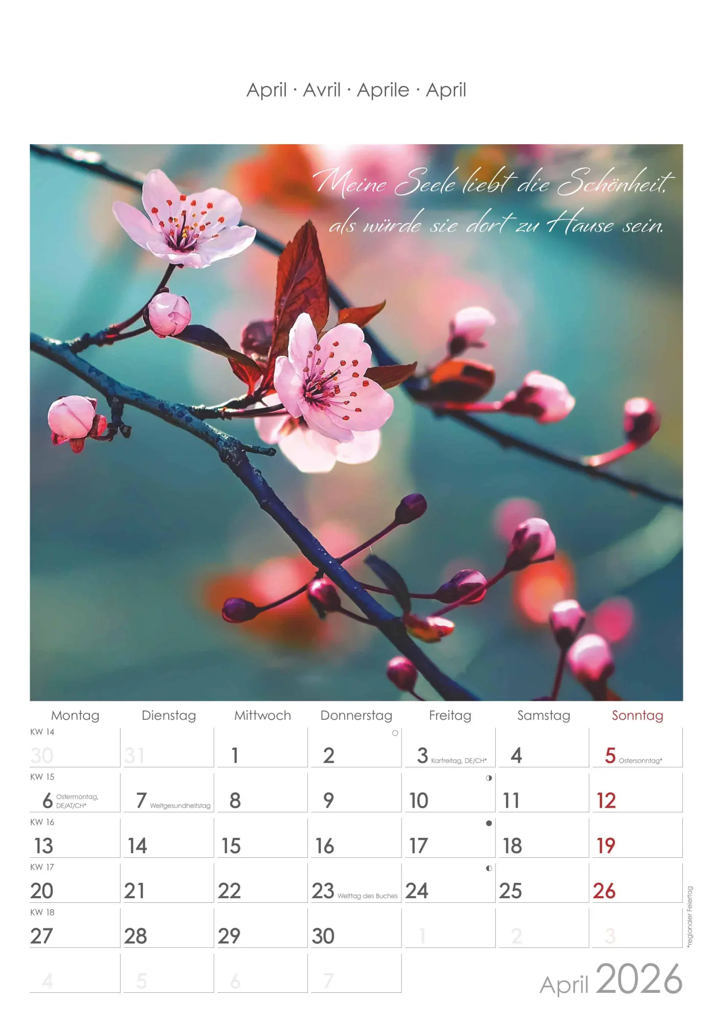 Bild: 4069095004955 | Auszeit für die Seele 2026 - Bildkalender 23,7x34 cm - Kalender mit...