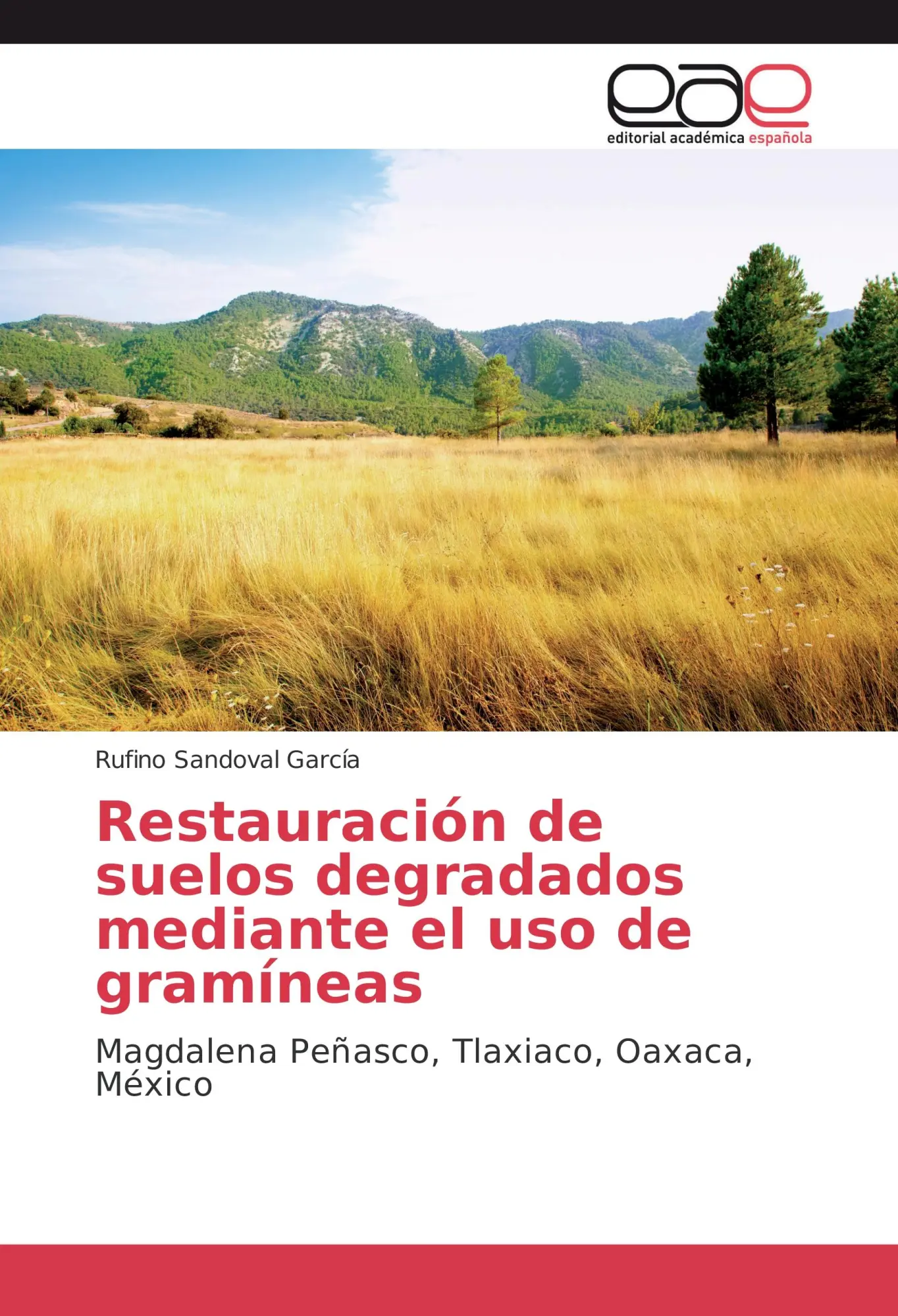 Cover: 9783639844955 | Restauración de suelos degradados mediante el uso de gramíneas | Buch