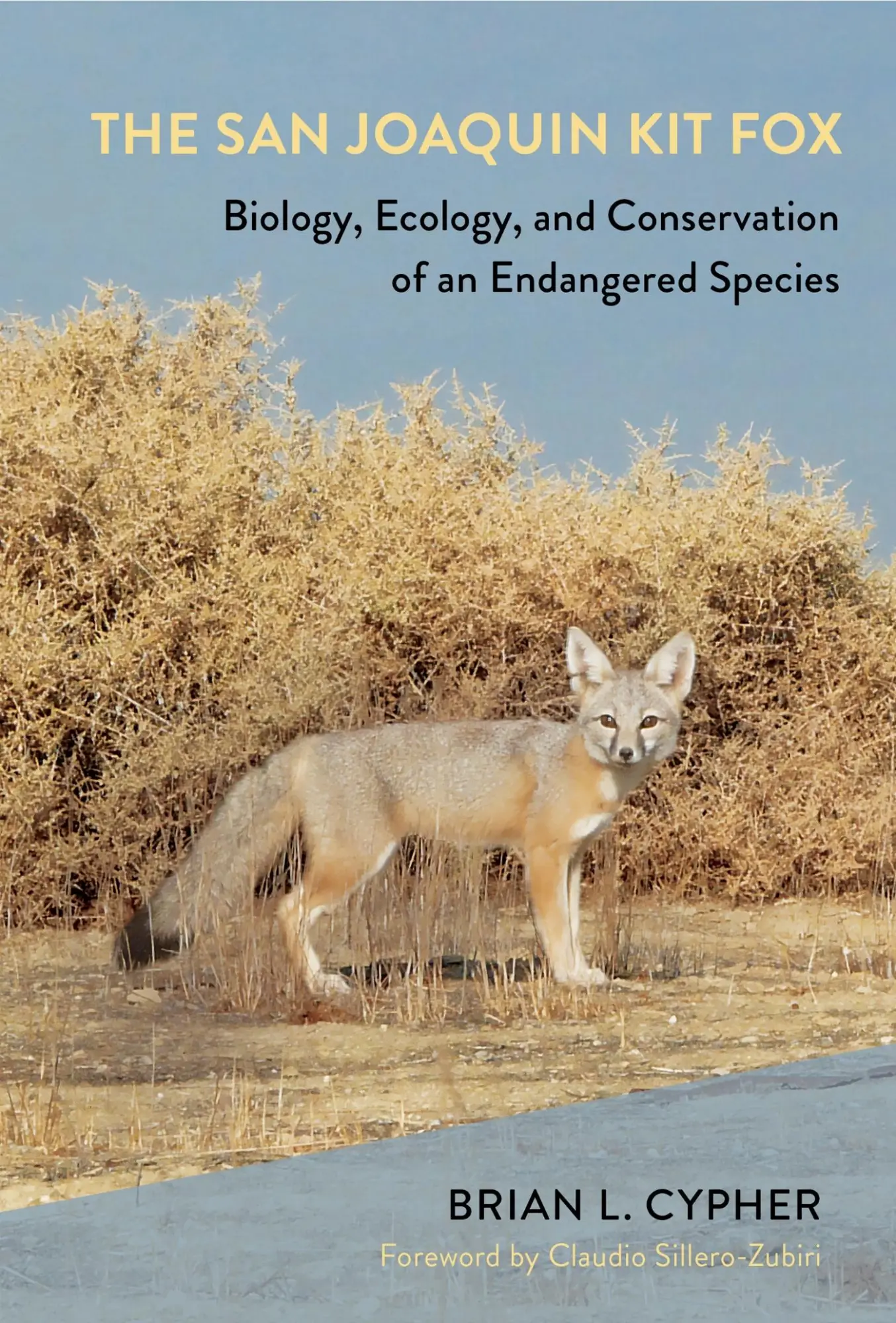 Cover: 9781501775055 | The San Joaquin Kit Fox | Brian L. Cypher | Buch | Englisch | 2024