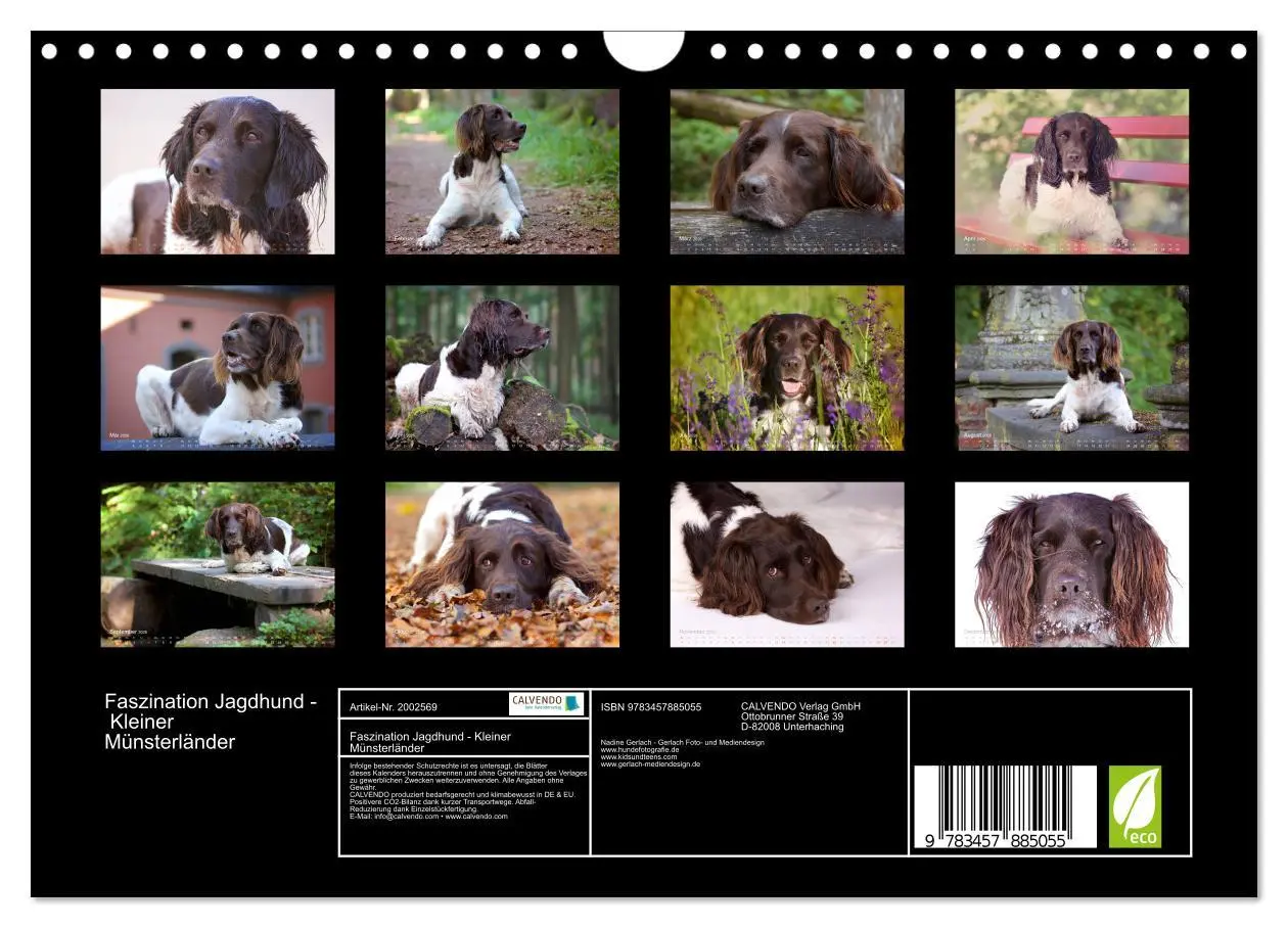Bild: 9783457885055 | Faszination Jagdhund - Kleiner Münsterländer (Wandkalender 2026 DIN...