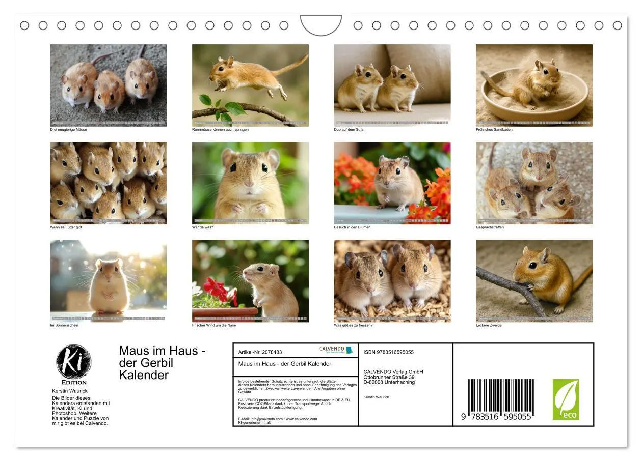 Bild: 9783516595055 | Maus im Haus - der Gerbil Kalender (Wandkalender 2026 DIN A4 quer),...