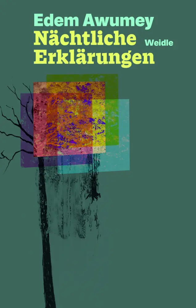Cover: 9783835375055 | Nächtliche Erklärungen | Edem Awumey | Taschenbuch | 208 S. | Deutsch
