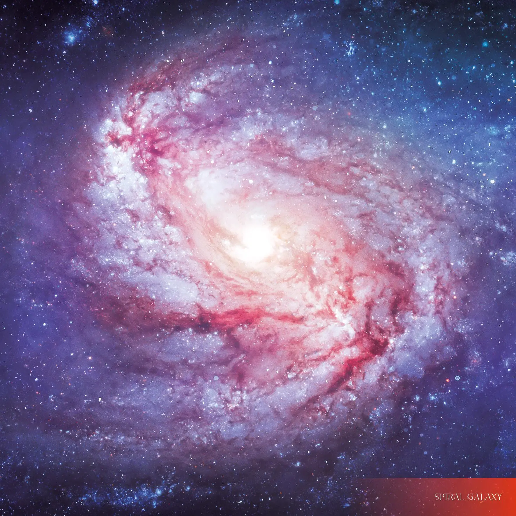 Bild: 9783959295055 | Where Stars are Born 2026 | Kalender 2026 | Kalender | 28 S. | 2026