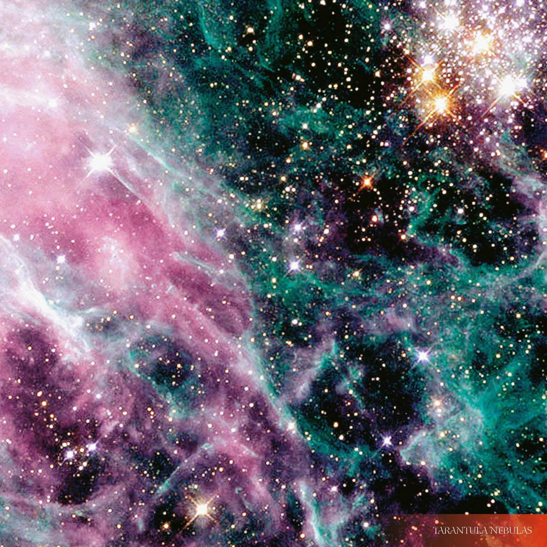 Bild: 9783959295055 | Where Stars are Born 2026 | Kalender 2026 | Kalender | 28 S. | 2026