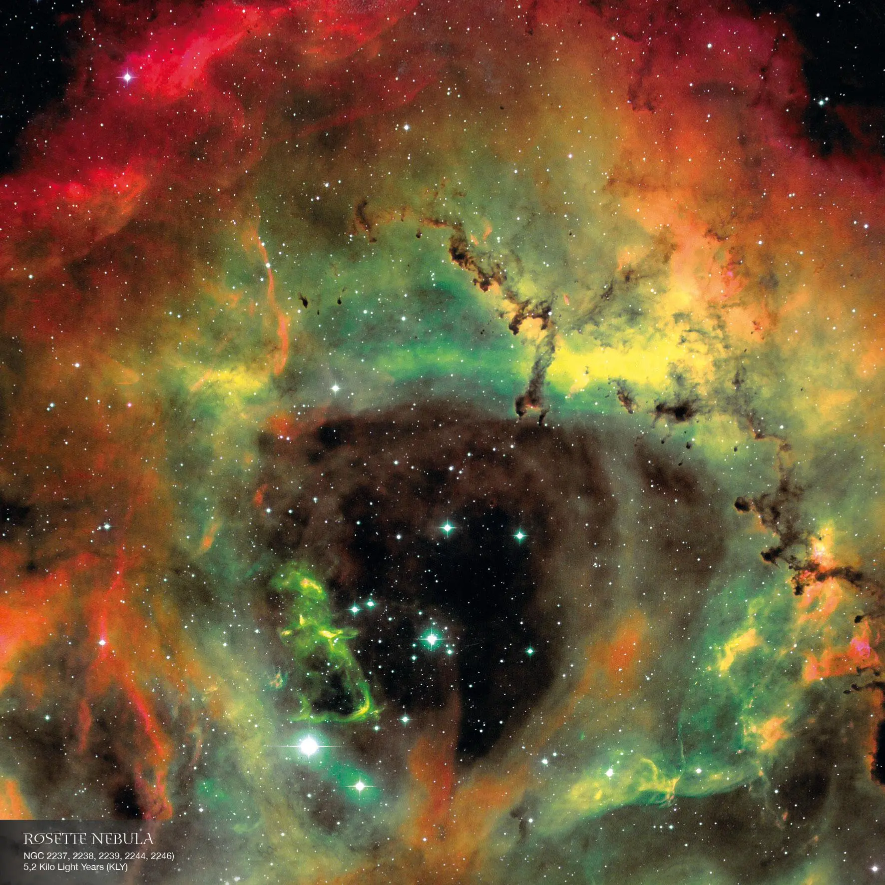Bild: 9783959295055 | Where Stars are Born 2026 | Kalender 2026 | Kalender | 28 S. | 2026