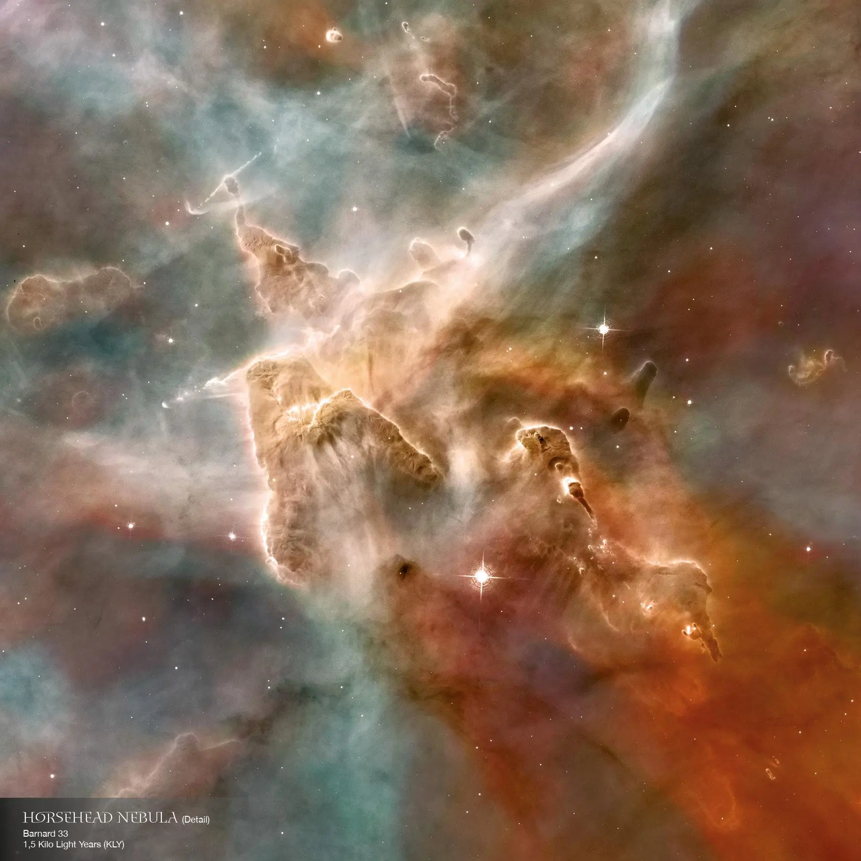 Bild: 9783959295055 | Where Stars are Born 2026 | Kalender 2026 | Kalender | 28 S. | 2026