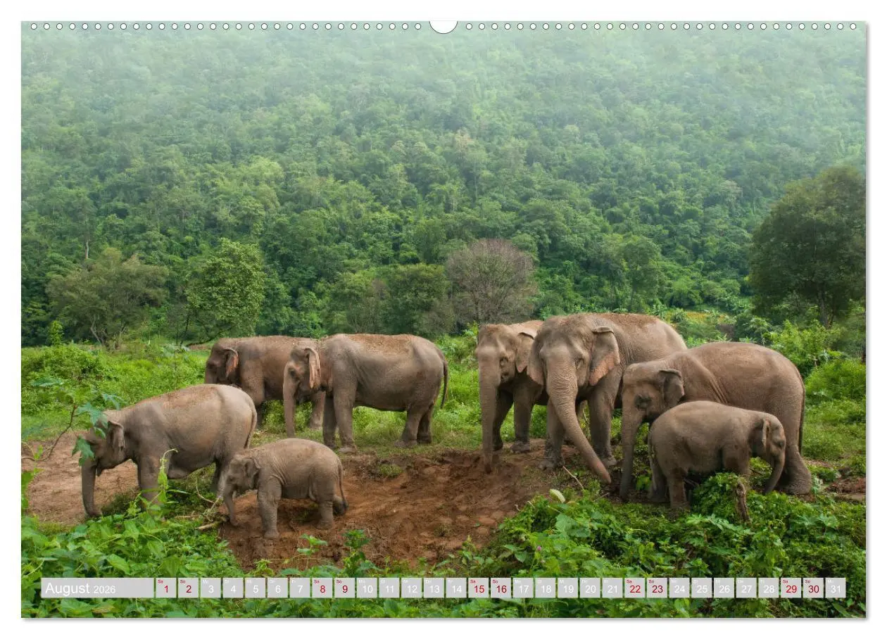 Bild: 9783457635155 | THAILAND - Land des Lächelns (Wandkalender 2026 DIN A2 quer),...