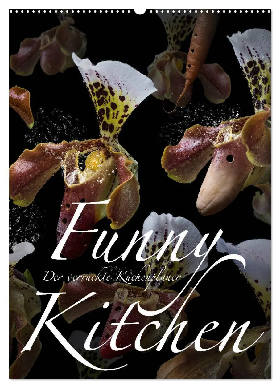 Cover: 9783516415155 | Funny Kitchen - Der verrückte Küchenplaner (Wandkalender 2026 DIN...