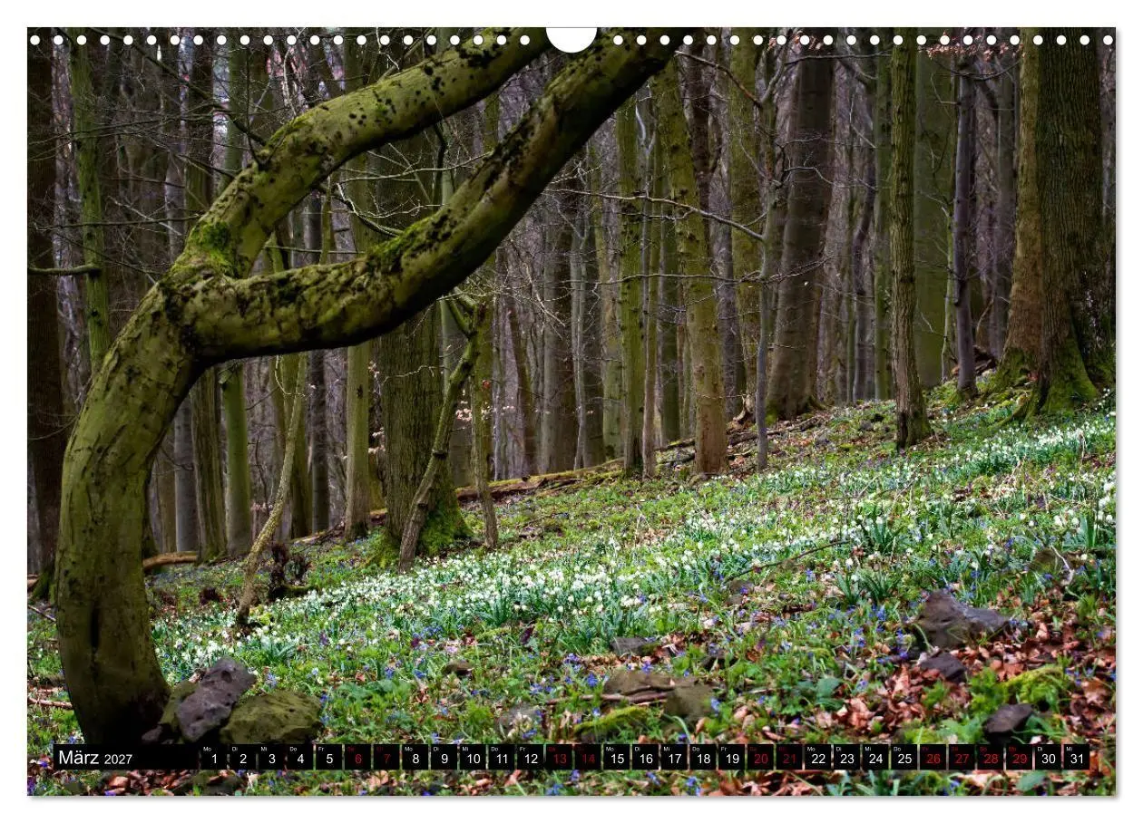 Bild: 9783569815155 | Die Rhön (Wandkalender 2027 DIN A3 quer), CALVENDO Monatskalender