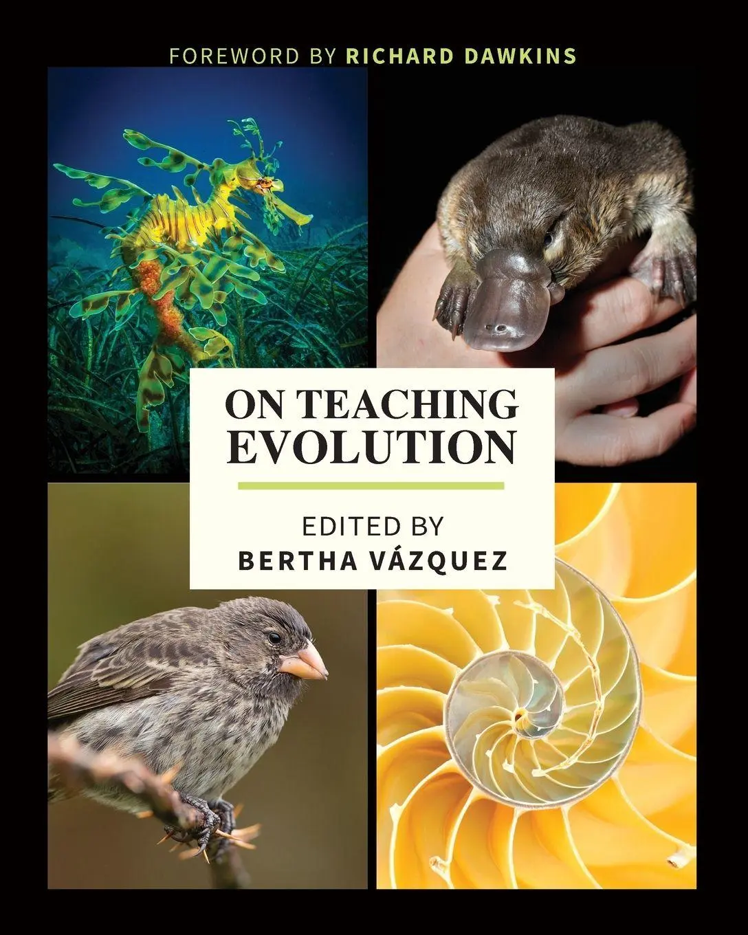 Cover: 9781953055255 | On Teaching Evolution | Bertha Vazquez | Taschenbuch | Englisch | 2021