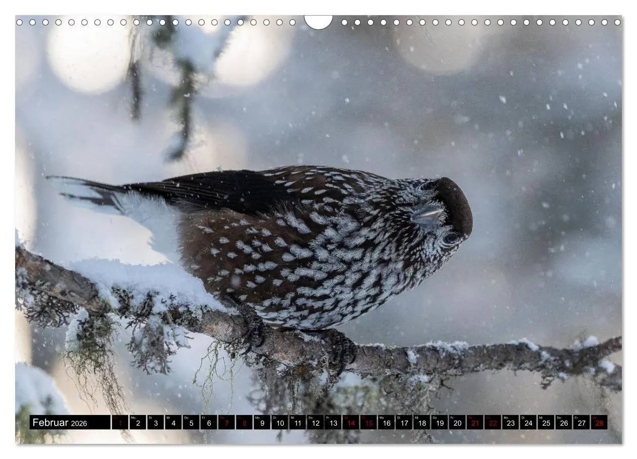 Bild: 9783457625255 | Faszinierendes Oberengadin (Wandkalender 2026 DIN A3 quer),...