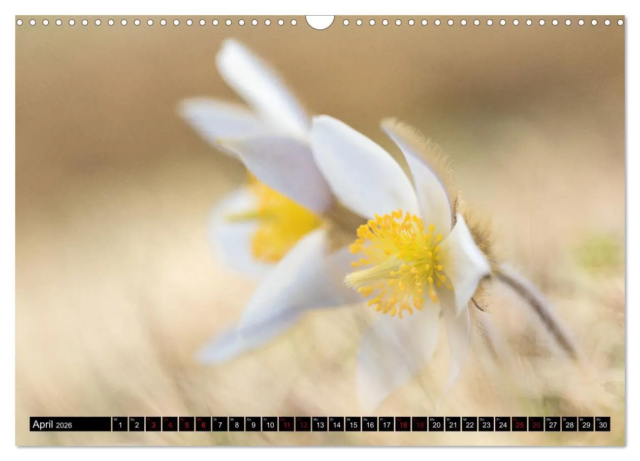 Bild: 9783457625255 | Faszinierendes Oberengadin (Wandkalender 2026 DIN A3 quer),...