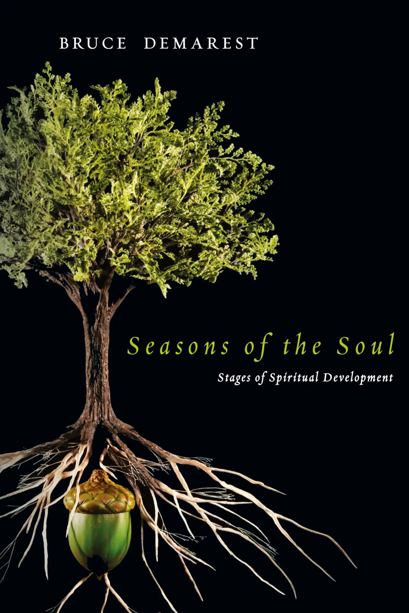 Cover: 9780830835355 | Seasons of the Soul | Stages of Spiritual Development | Bruce Demarest