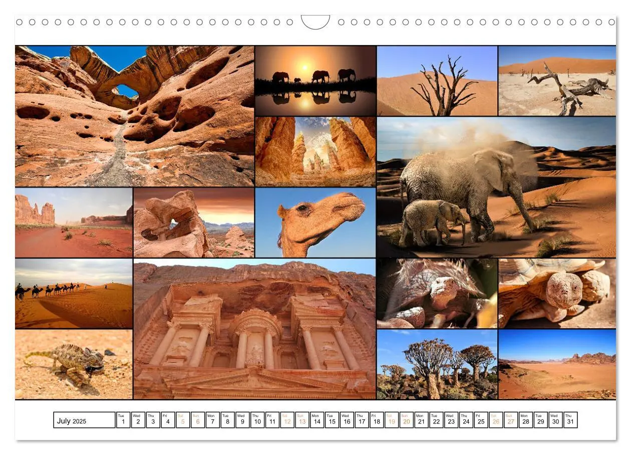 Bild: 9781325835355 | Colour Symphonies of the Earth (Wall Calendar 2025 DIN A3...