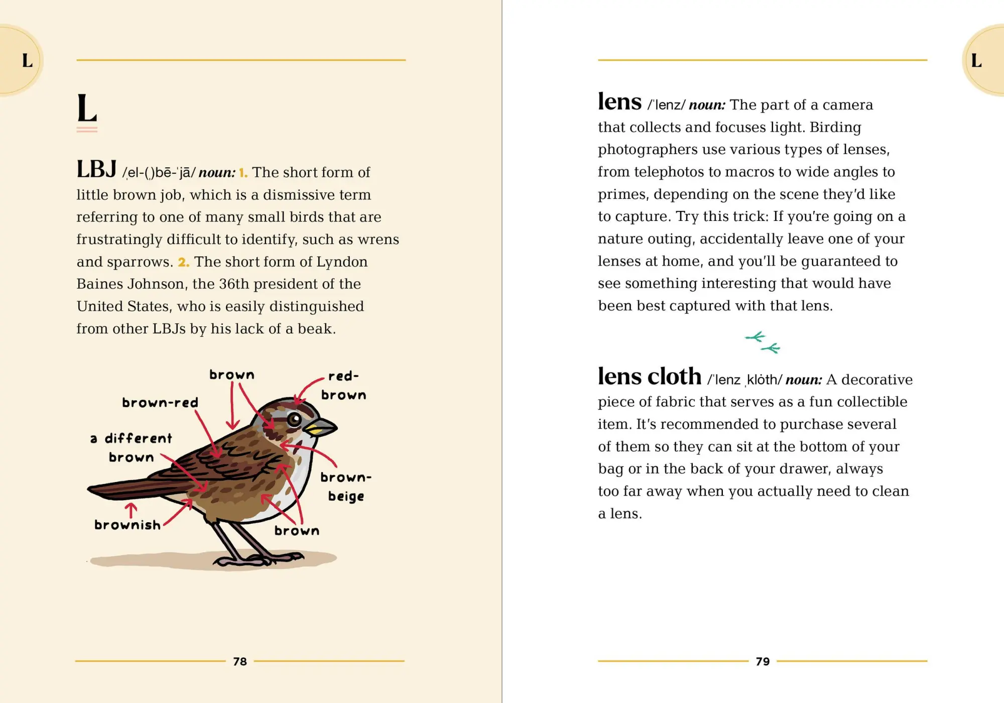 Bild: 9781523525355 | The Birding Dictionary | Rosemary Mosco | Taschenbuch | Englisch