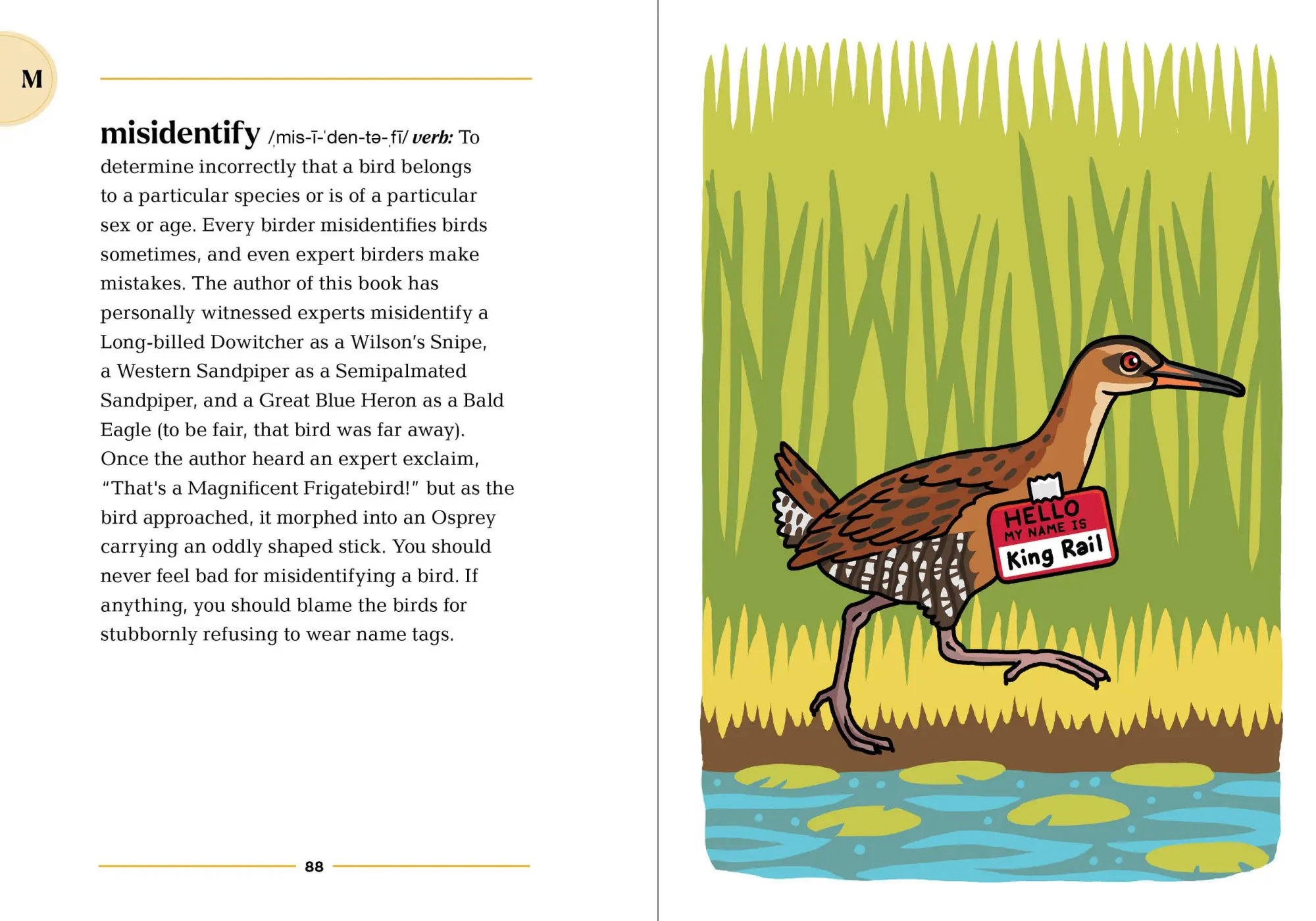 Bild: 9781523525355 | The Birding Dictionary | Rosemary Mosco | Taschenbuch | Englisch