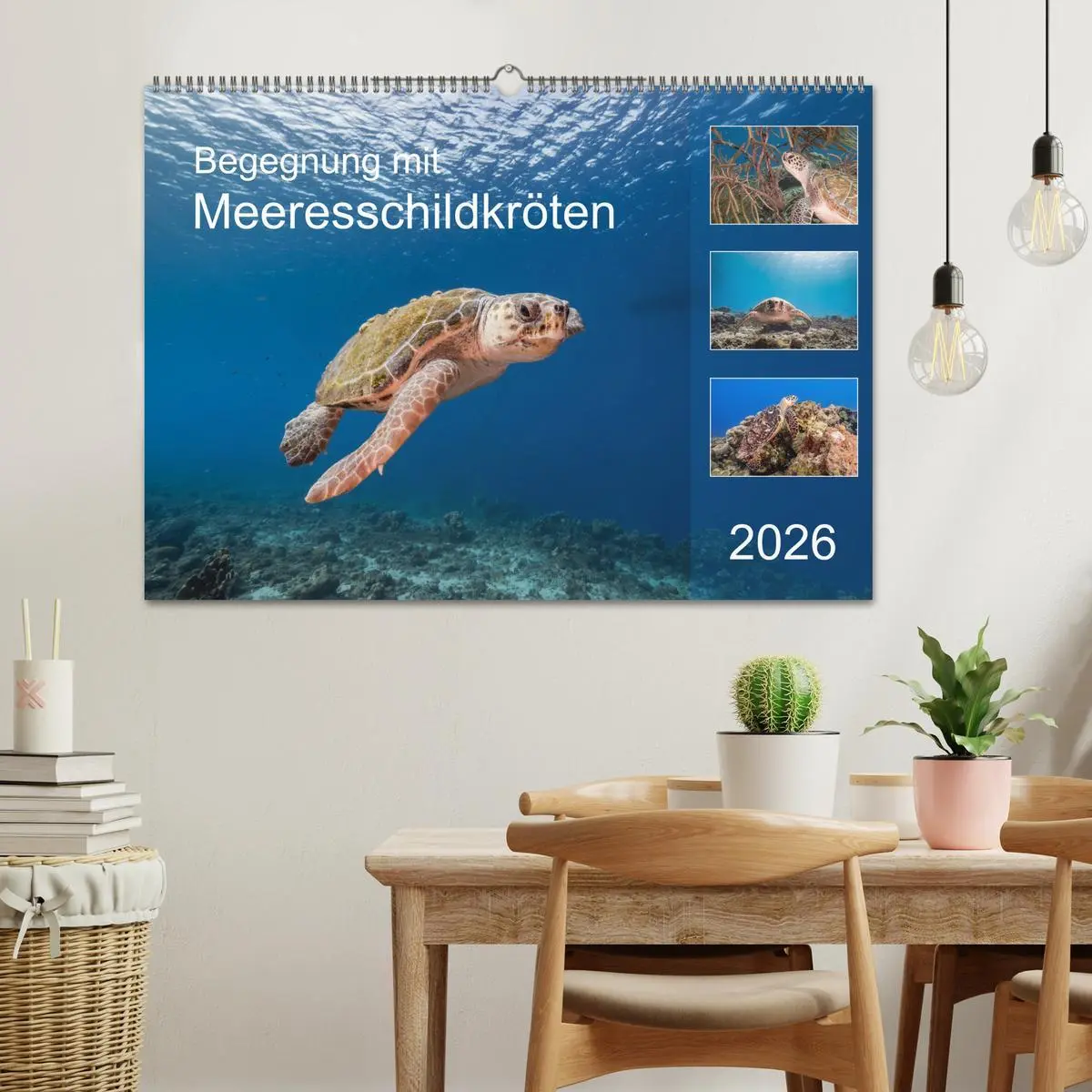 Bild: 9783457775455 | Begegnung mit Meeresschildkröten (Wandkalender 2026 DIN A2 quer),...