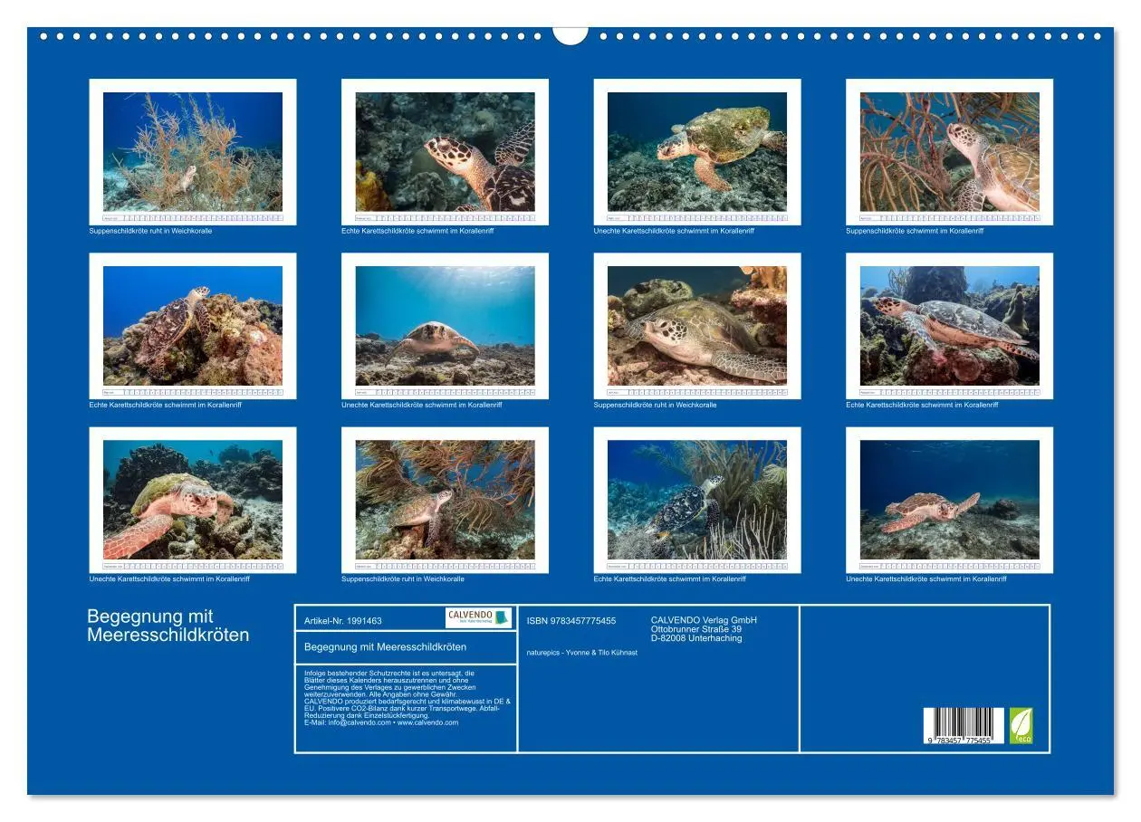 Bild: 9783457775455 | Begegnung mit Meeresschildkröten (Wandkalender 2026 DIN A2 quer),...