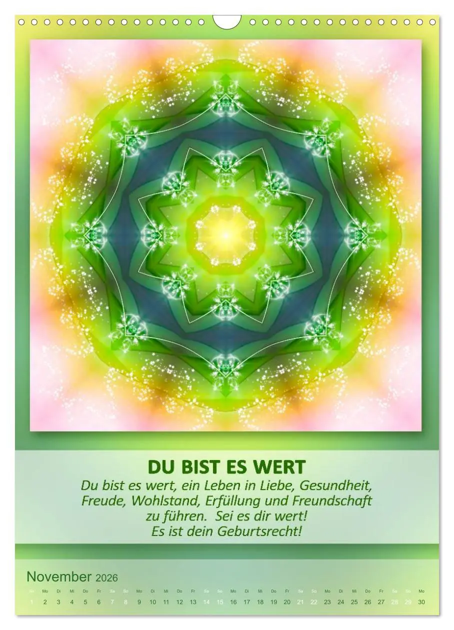 Bild: 9783516485455 | Light Energy Mandalas - Kalender - Vol. 1 (Wandkalender 2026 DIN A3...