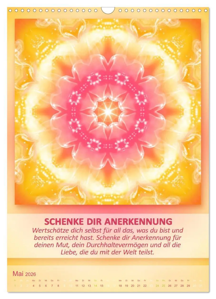 Bild: 9783516485455 | Light Energy Mandalas - Kalender - Vol. 1 (Wandkalender 2026 DIN A3...