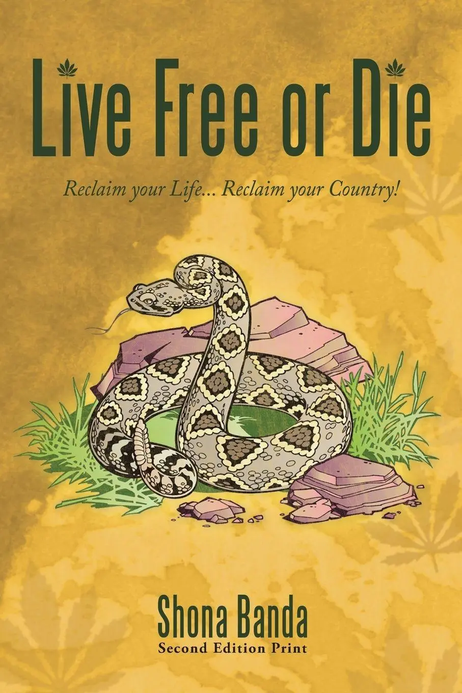 Cover: 9781449045555 | Live Free or Die | Reclaim Your Life... Reclaim Your Country! | Banda