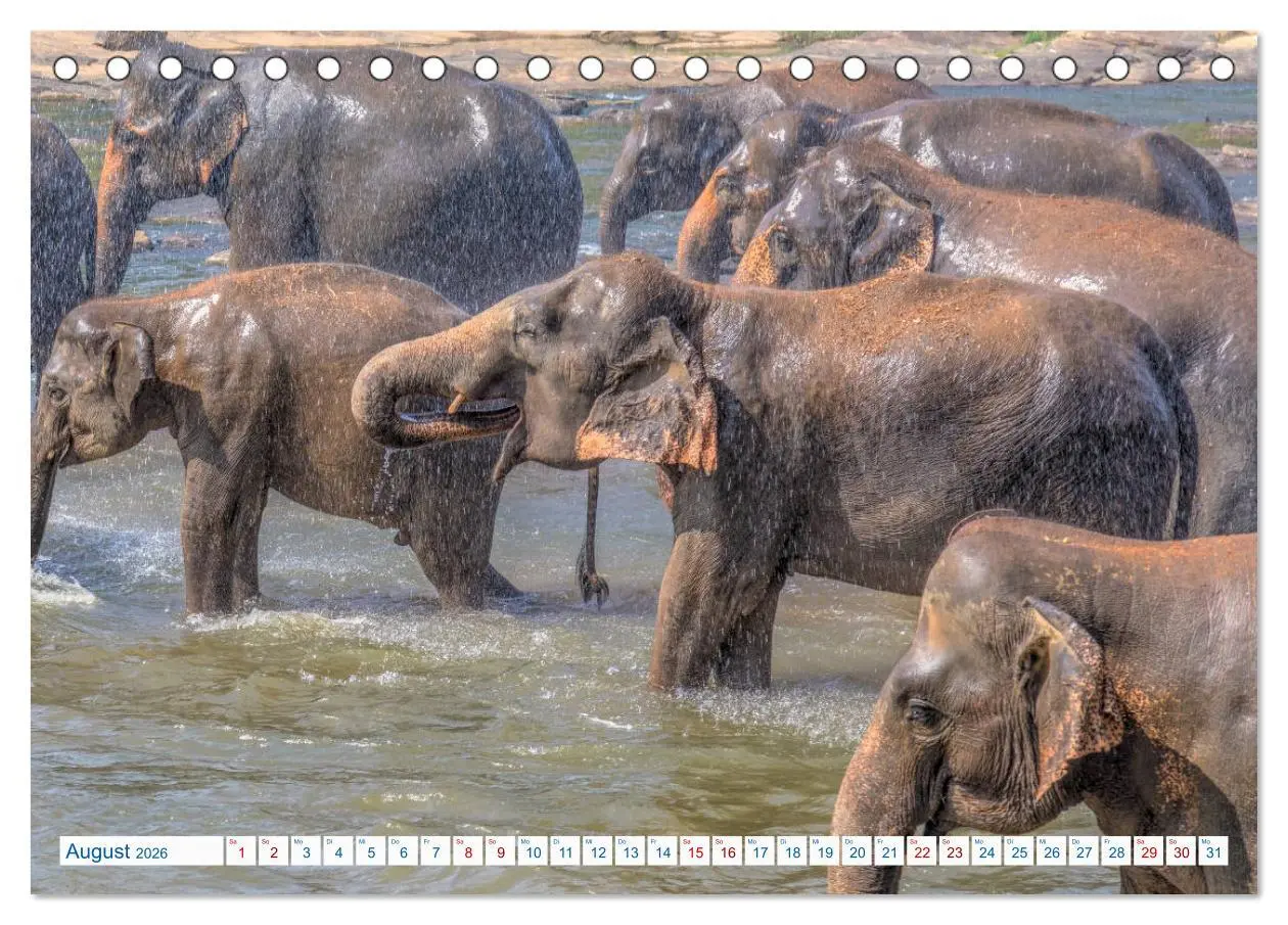 Bild: 9783457835555 | Sri Lanka, tropisches Inselparadies (Tischkalender 2026 DIN A5...