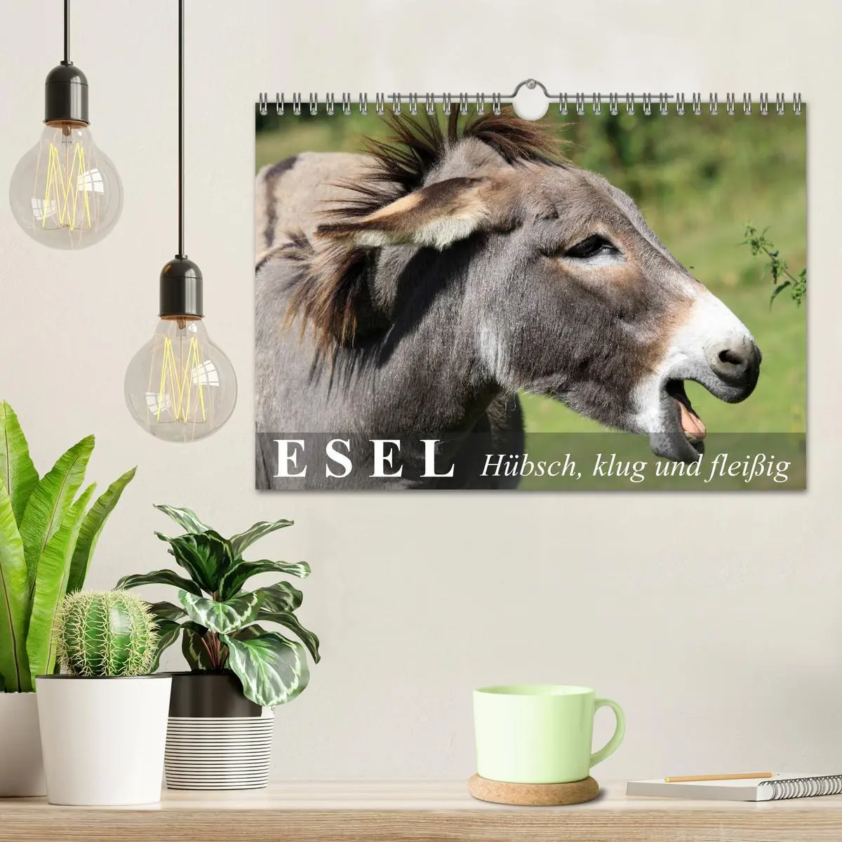 Bild: 9783516095555 | Esel - hübsch, klug und fleißig (Wandkalender 2026 DIN A4 quer),...