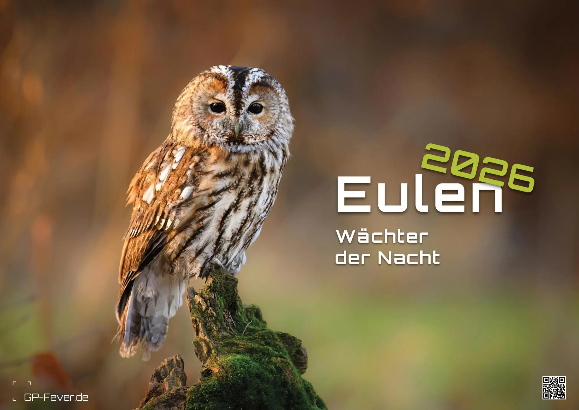 Cover: 9783986735555 | Eulen - Wächter der Nacht - 2026 - Kalender DIN A3 | GP-Fever. de