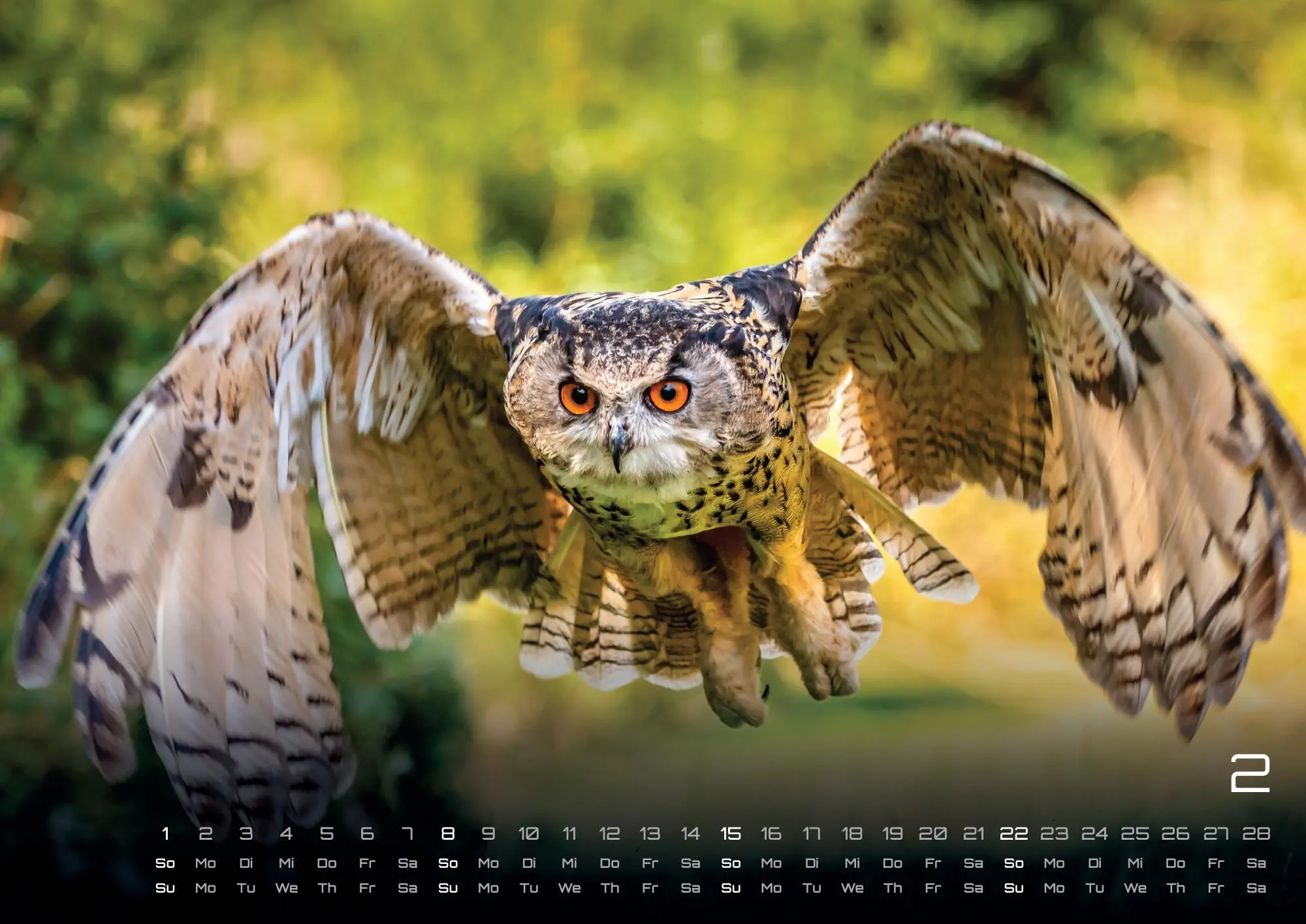 Bild: 9783986735555 | Eulen - Wächter der Nacht - 2026 - Kalender DIN A3 | GP-Fever. de