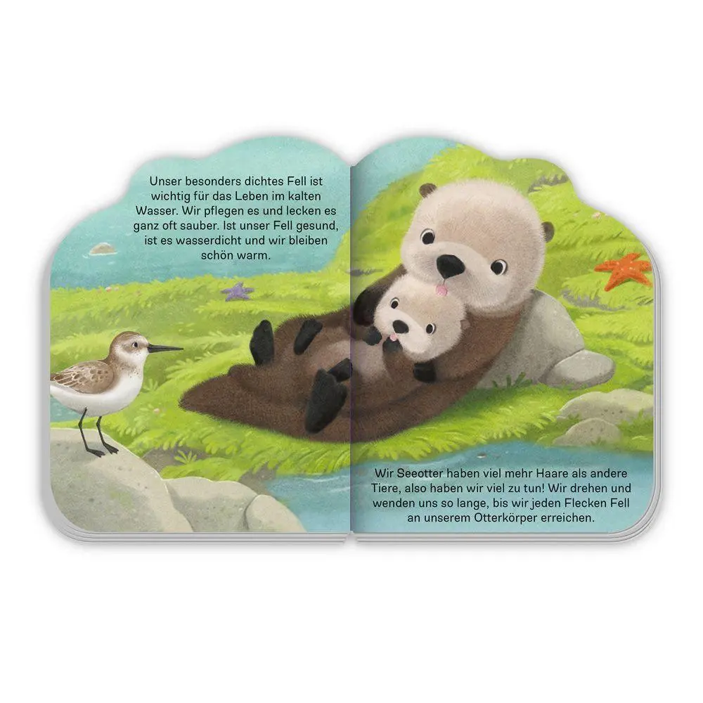 Bild: 9783988025555 | TRÖTSCH - Pappenbuch Der kleine Otter Ab 1 Jahr | KG (u. a.) | Buch