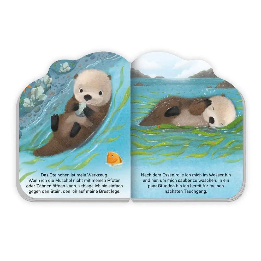 Bild: 9783988025555 | TRÖTSCH - Pappenbuch Der kleine Otter Ab 1 Jahr | KG (u. a.) | Buch