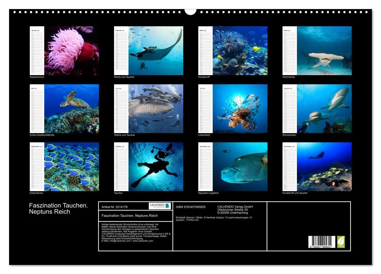 Bild: 9783457995655 | Faszination Tauchen. Neptuns Reich (Wandkalender 2026 DIN A2 quer),...